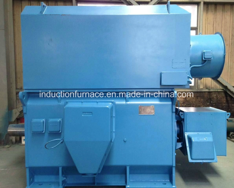 Big and Medium Size High Voltage Induction Asynchronous AC Electric Motor