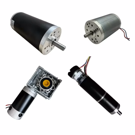 12V DC Planetary Gear Motor DC Motor