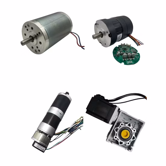 12V DC Planetary Gear Motor DC Motor