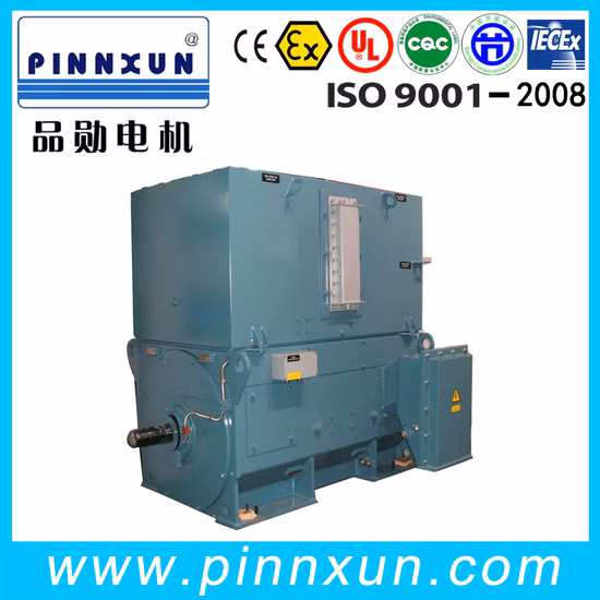 Three Phase Asynchronous Squirrel Cage Induction Motor Slip Ring Medium Voltage 710kw Electric Motor