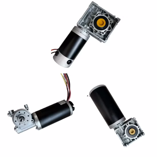 12V DC Planetary Gear Motor DC Motor