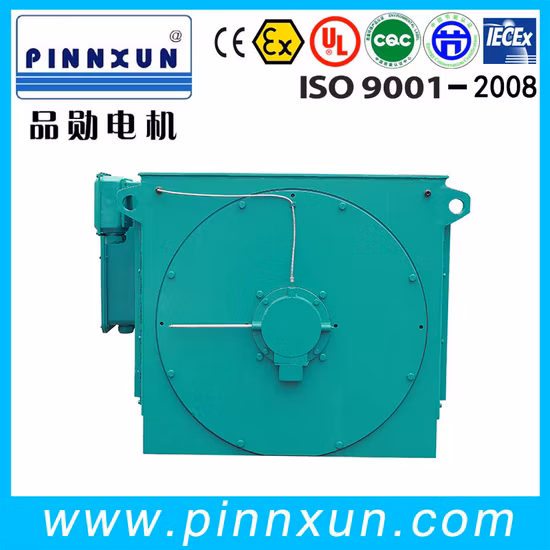Asynchronous Three Phase Electric High Voltage Motor for Cement Plant