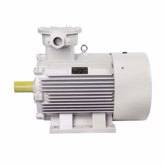 Explosion Proof Flameproof Asynchronous Synchronous AC DC Electrical Induction Electric Motor